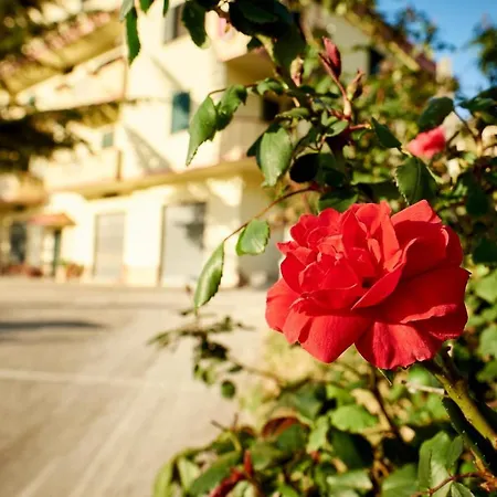 Bouganville House - Bed and breakfast Triparni